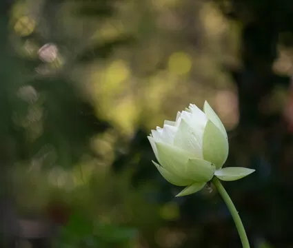 信息滞后，分析不便